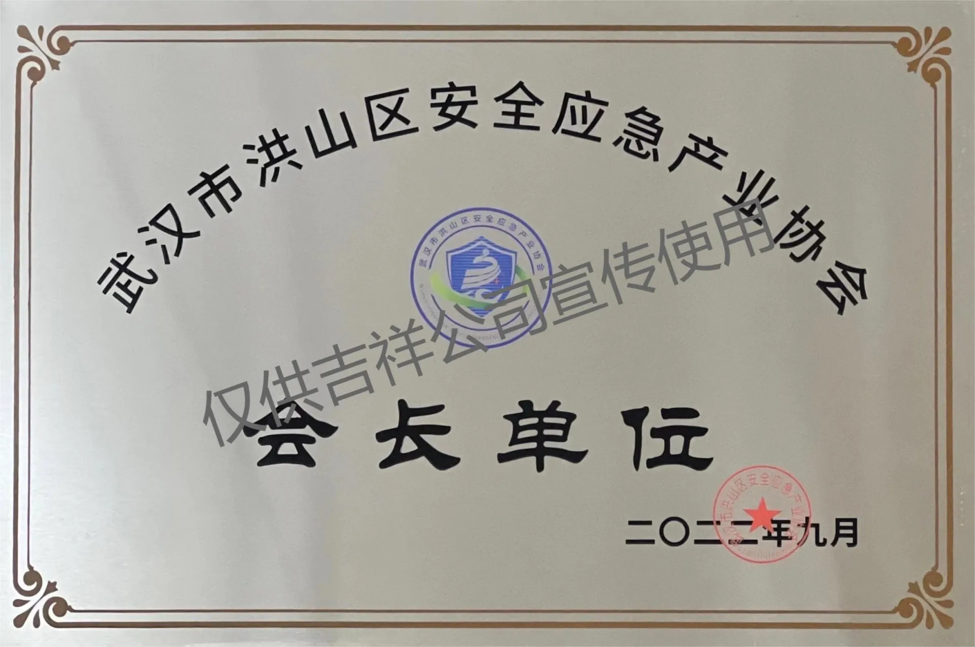 武汉市洪山区安全应急产业协会会长单位