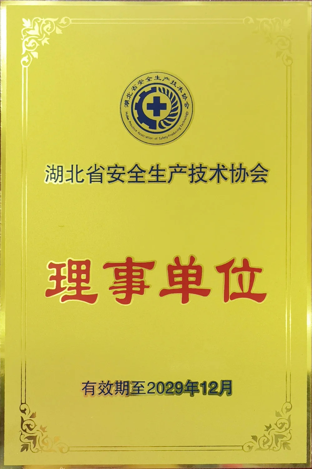 湖北省安全生产协会理事单位