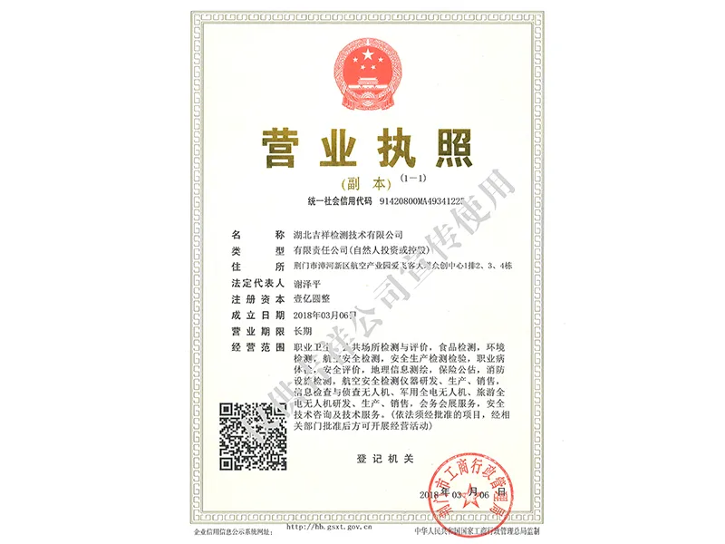 检测技术公司营业执照