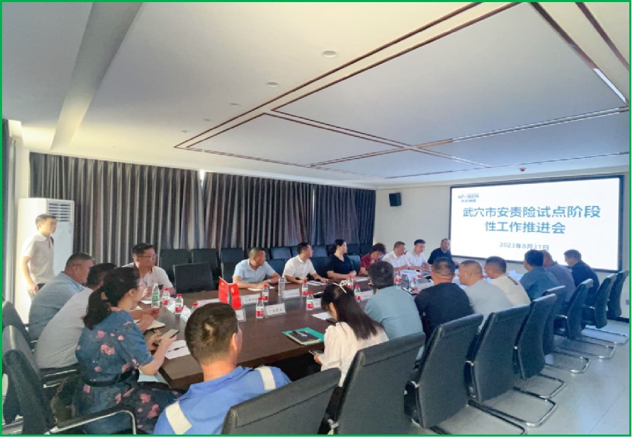 全省安责险试点武穴市阶段推进会