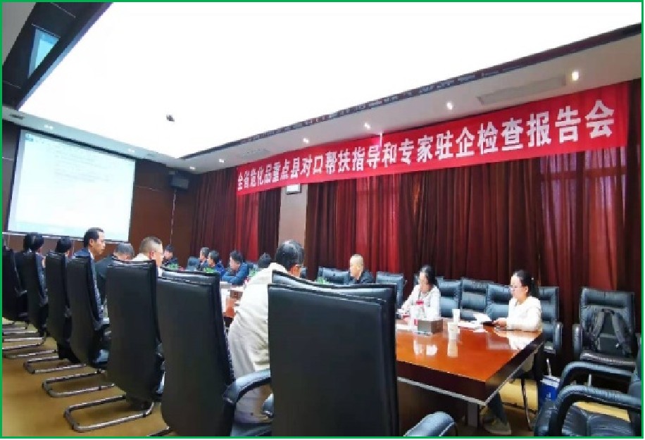 湖北省危化重点县专家驻企检查报告会