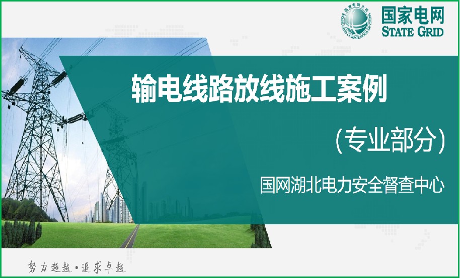 国网安全技术支持项目
